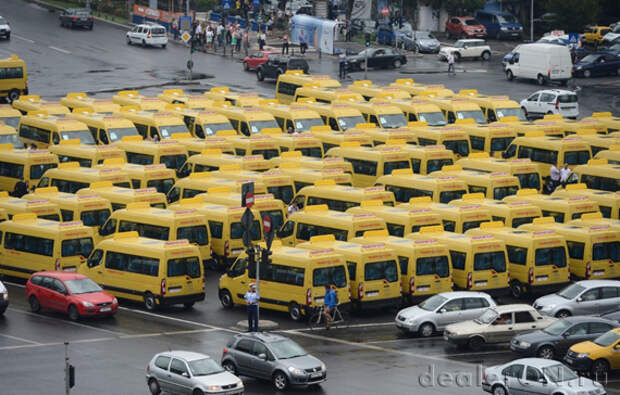 Школьные автобусы Опель Мовано Трабус (Opel Movano Trabus)
