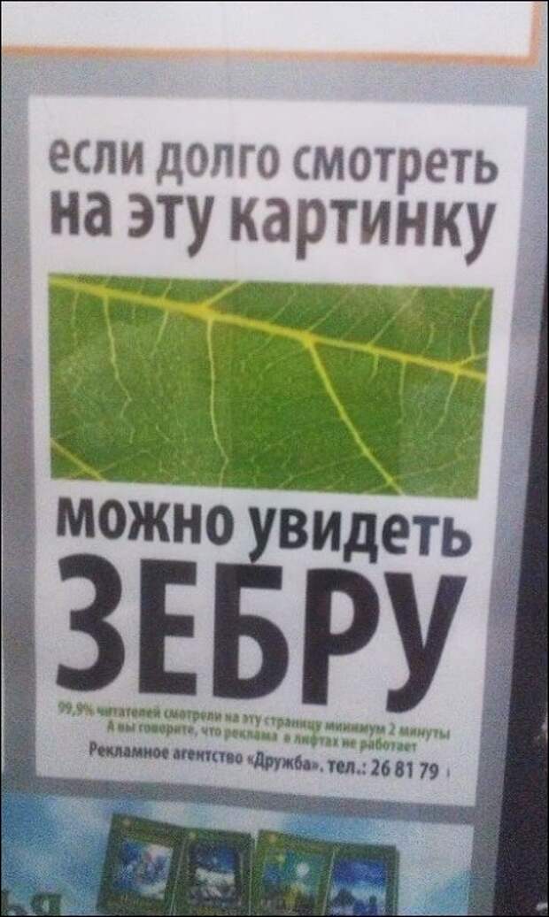 Забавные надписи и объявления Забавные надписи и объявления
