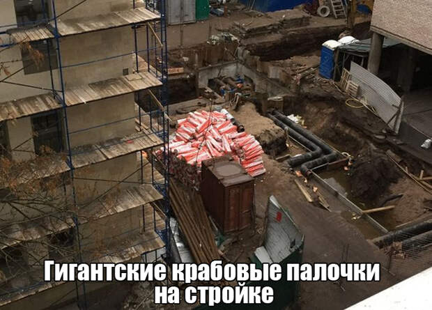 1449168288_01
