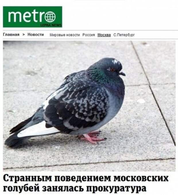 Забавные надписи и объявления Забавные надписи и объявления
