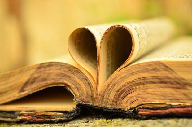 Книга / фото: pixabay.com