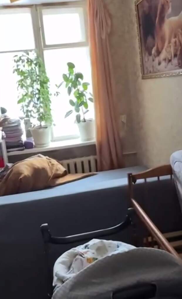 Это личная комната Бахаревых. Тут порядок уже навели. Фото: скрин видео тг-канал "Поздняков 3.0".