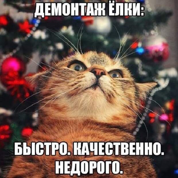 Прикольные фото уходящего года! приколы, фото, юмор