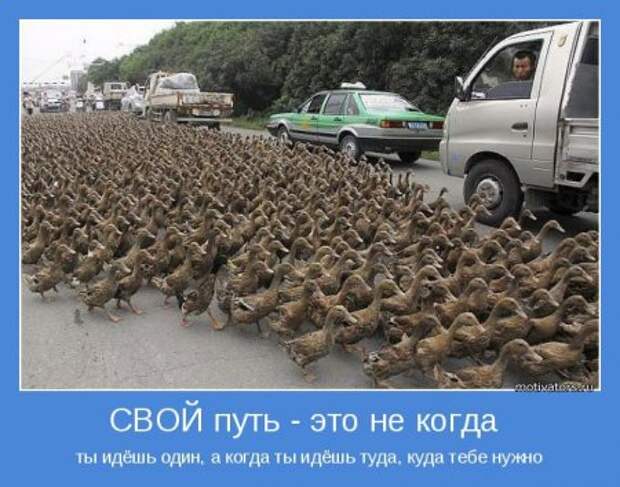 Мотивация в каждой картинке!