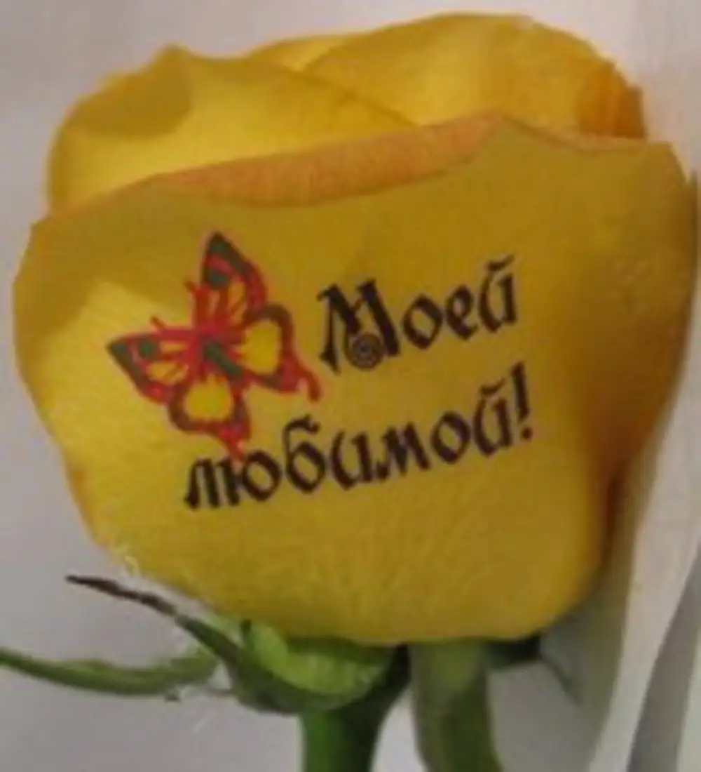 Цветы с надписями