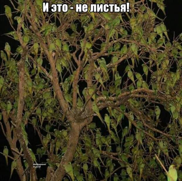 Прикольные картинки абавсём:D