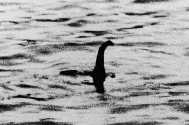 DM: официальные лица за год зафиксировали 5 встреч с Лох-несским чудовищем