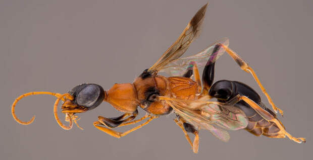 a21c522e96d83d9534ac618d579d4619