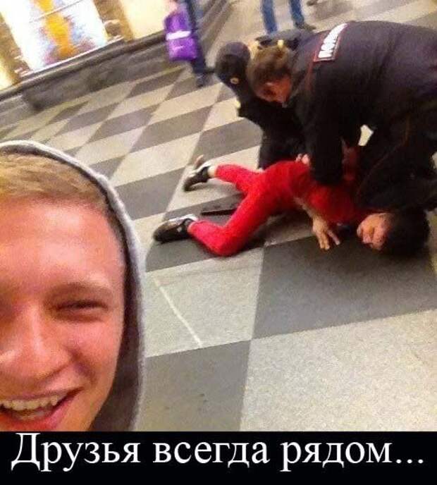 Весёлые картинки