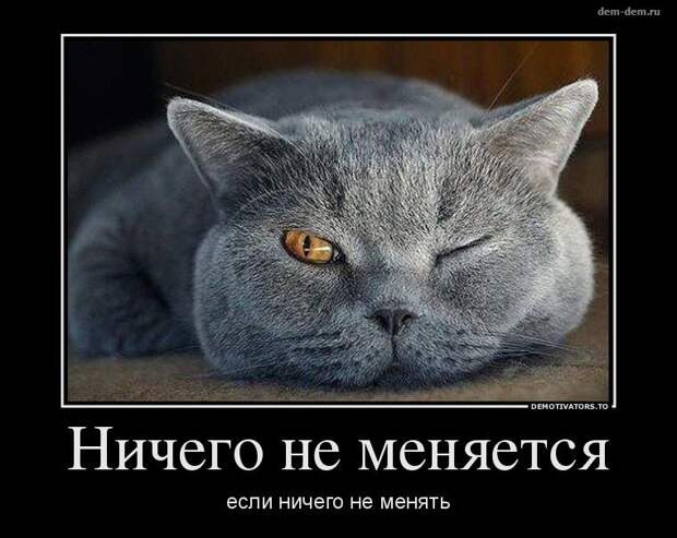 30 демотиваторов дня от 28-02-2014