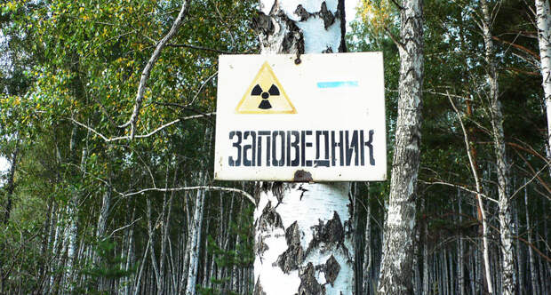 Ecodefense mayak exhibition 26 reserve