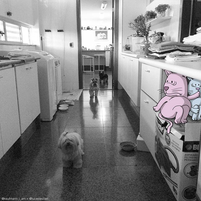 photo-invasion-drawing-on-photos-lucas-levitan-10-57c443f7b90f0__700