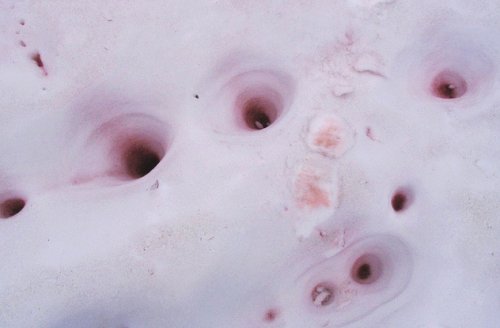 Топ-10: Интересные факты про снег, которые вы могли не знать Топ-10: Интересные факты про снег, которые вы могли не знать