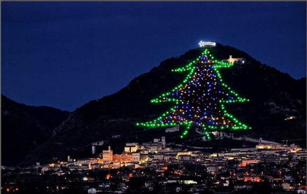 Самая большая в мире рождественская елка.