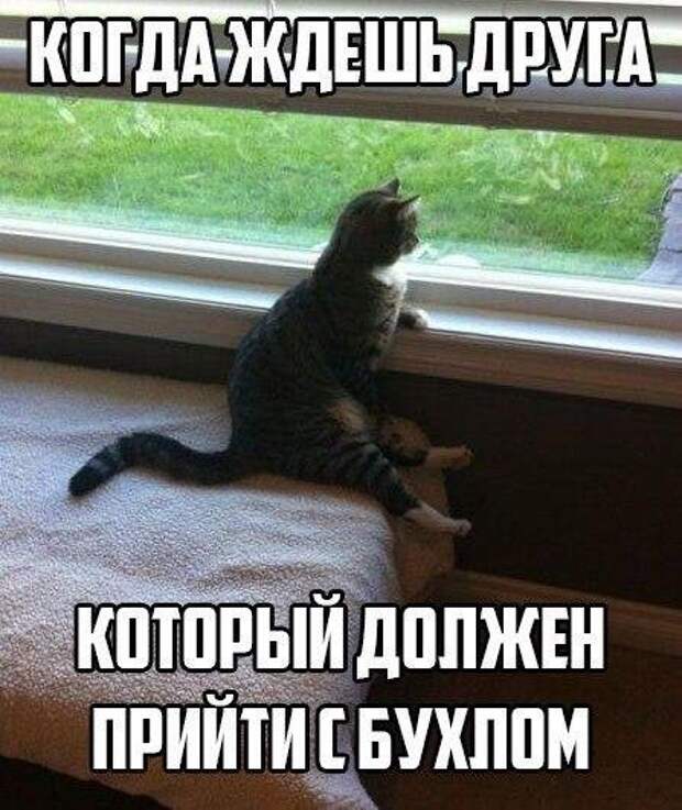 АЛКОГОЛИЗМА ПОСТ (ЧАСТЬ 41) АЛКОГОЛИЗМА ПОСТ (ЧАСТЬ 41)