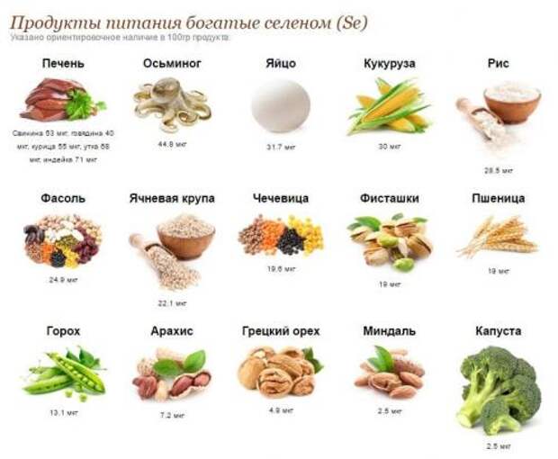 Продукты для восстановления хрящевой ткани. Микроэлементы