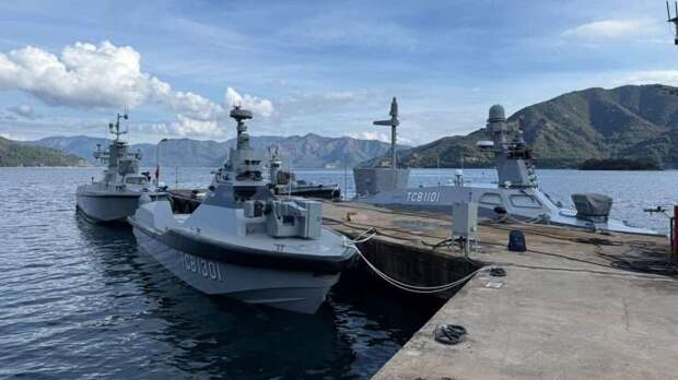 Турки начинают экспорт морских беспилотников – передадут Украине?