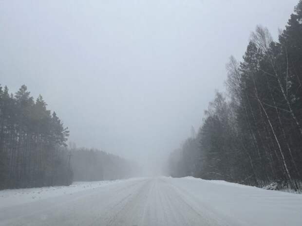 В Тульской области 16 февраля ожидается сильный снег и ветер до 17 м/с