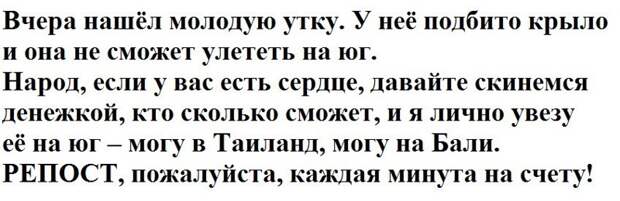 Картинки картинки, юмор