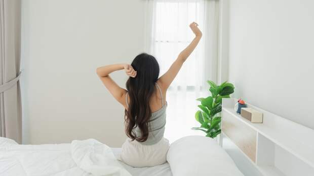 Генетики выяснили, как предки человека стали дневными животными