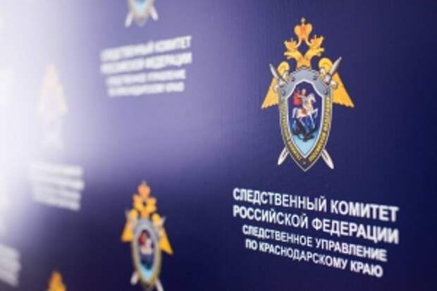 Глава ведомства поручил возбудить уголовное дело по факту причинения телесных повреждений жительнице Краснодарского края в результате нападения собак