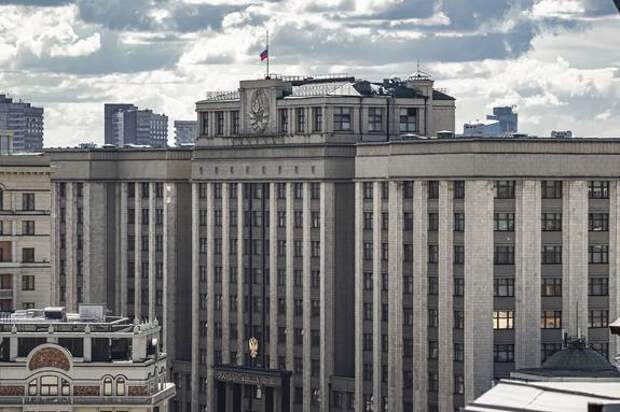 Депутат Госдумы Бессараб предположила, что миллион рублей будет не единственной льготой для матерей-героинь