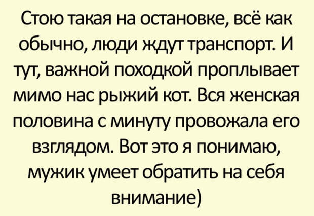 Парень смешные истории. Парень смешные истории