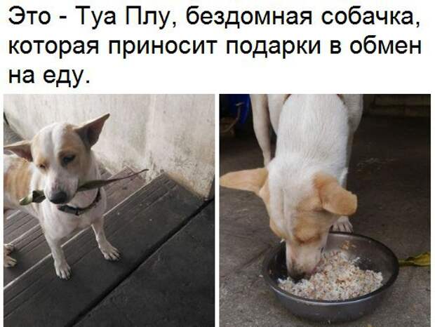 Веселые и эмоциональные картинки с надписями (11 фото) Веселые и эмоциональные картинки с надписями (11 фото)