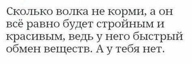 В шутку и всерьез о лишнем весе и диете