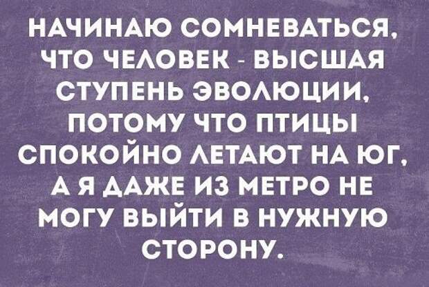 Анекдоты, соц-сети и картинки с надписями