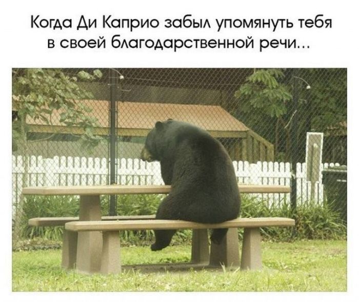 Приколы из мира кино (41 фото)
