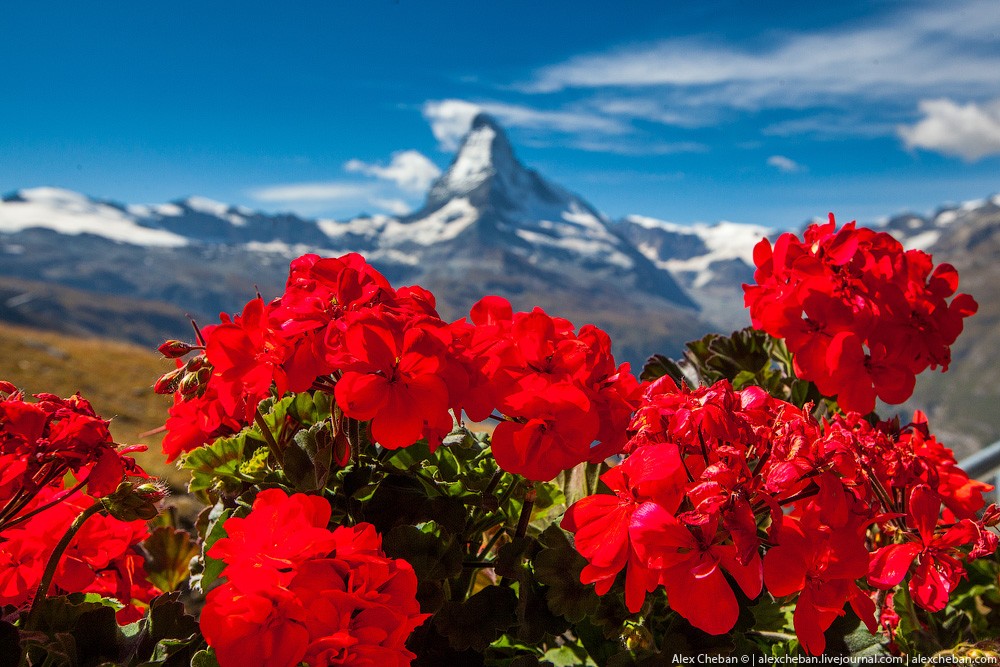 matterhorn26 Самая красивая горная вершина в мире