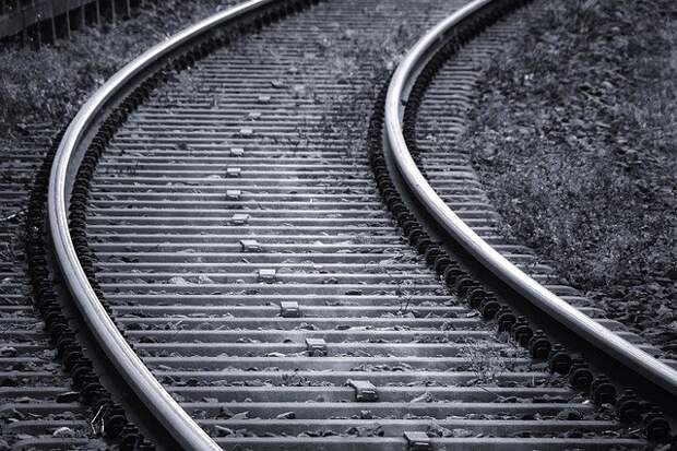 Фото: pixabay