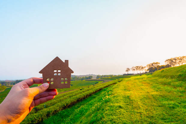 Яндекс: на Алтае продаются участки размером с Сан-Марино или Монако