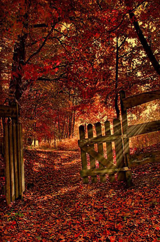 HDRtist HDR - http://www.ohanaware.com/hdrtist/