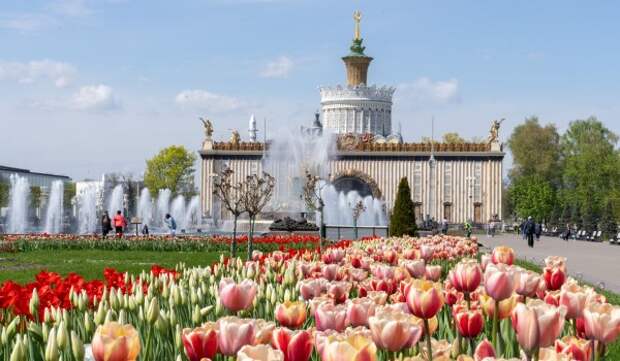 Луковичные цветы высадили на ВДНХ