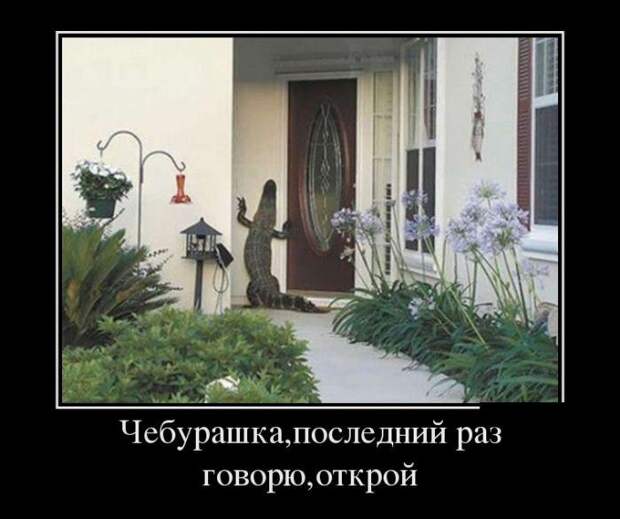 Подборка свежих и забавных демотиваторов (11 фото)