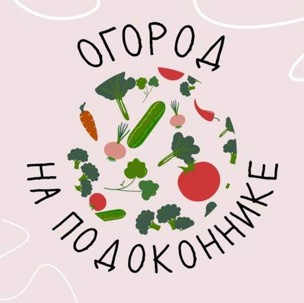 Огород на подоконнике. Посадка лука.