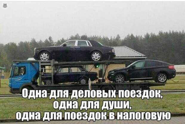 На все случаи жизни На все случаи жизни
