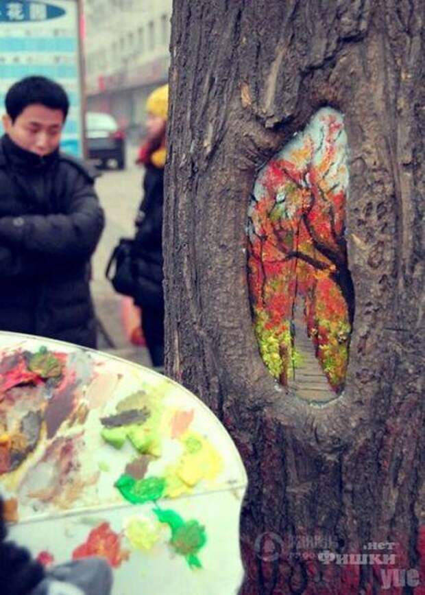Удивительные картины на стволах деревьев