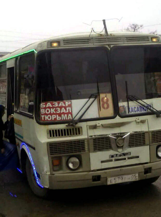 Веселый автобус. Веселый автобус.