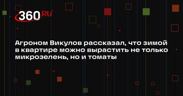 Агроном Викулов рассказал, что зимой в квартире можно вырастить не только микрозелень, но и томаты