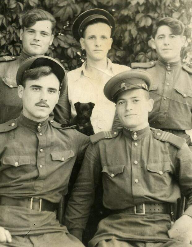 Охотники на бандеровцев охотники, на бандеровцев