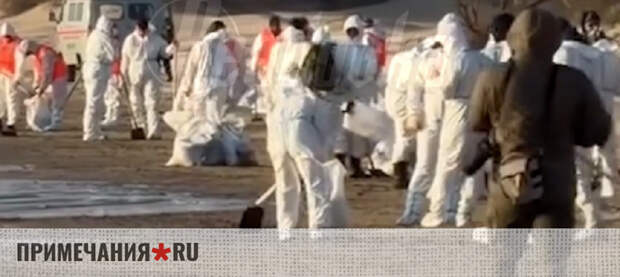 Мазут снова достиг пляжей Анапы: идет масштабная ликвидация последствий загрязнения