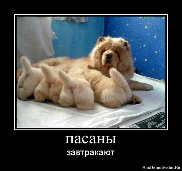 Всяко - разно 27 ))) Всяко - разно 27 )))