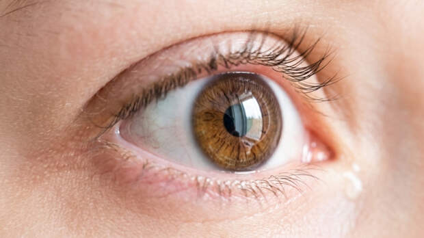 Организм бьет тревогу: почему дергается глаз и когда нужно срочно идти к врачу