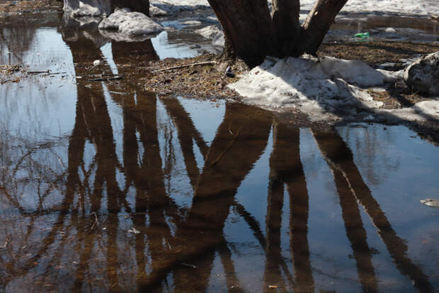 Поселок Садовый под Новосибирском затопило талыми водами