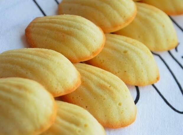 0 (1) (604x447, 36Kb)