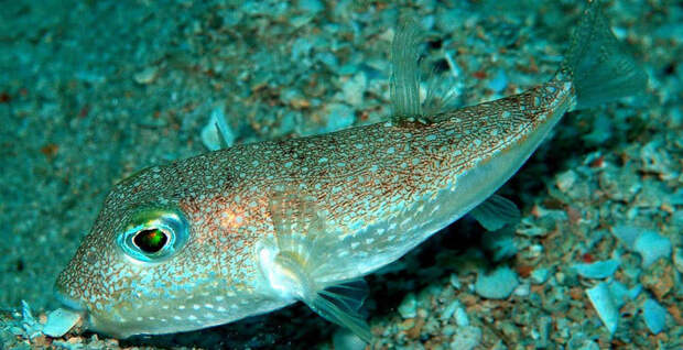 1e516588717570e28eaaa49763c67886