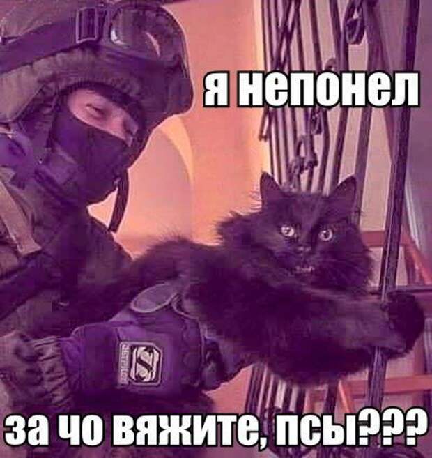 Новые прикольные фотомемы
